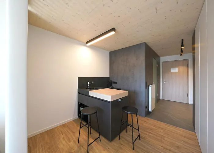 Apart Otel Timber One Boardinghouse Dorfen